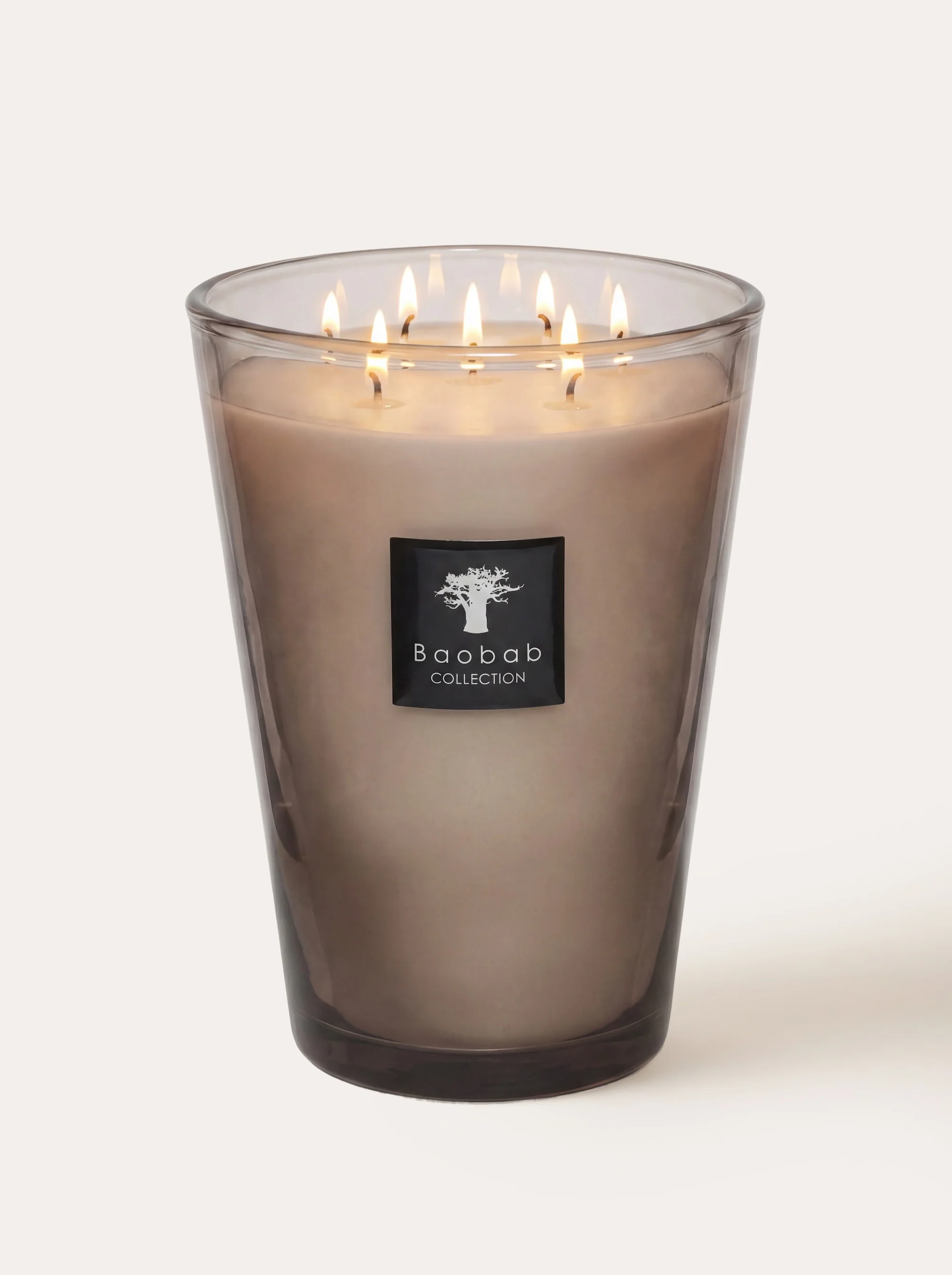 SCENTED CANDLE ALL SEASONS SERENGETI PLAINS - Image 8