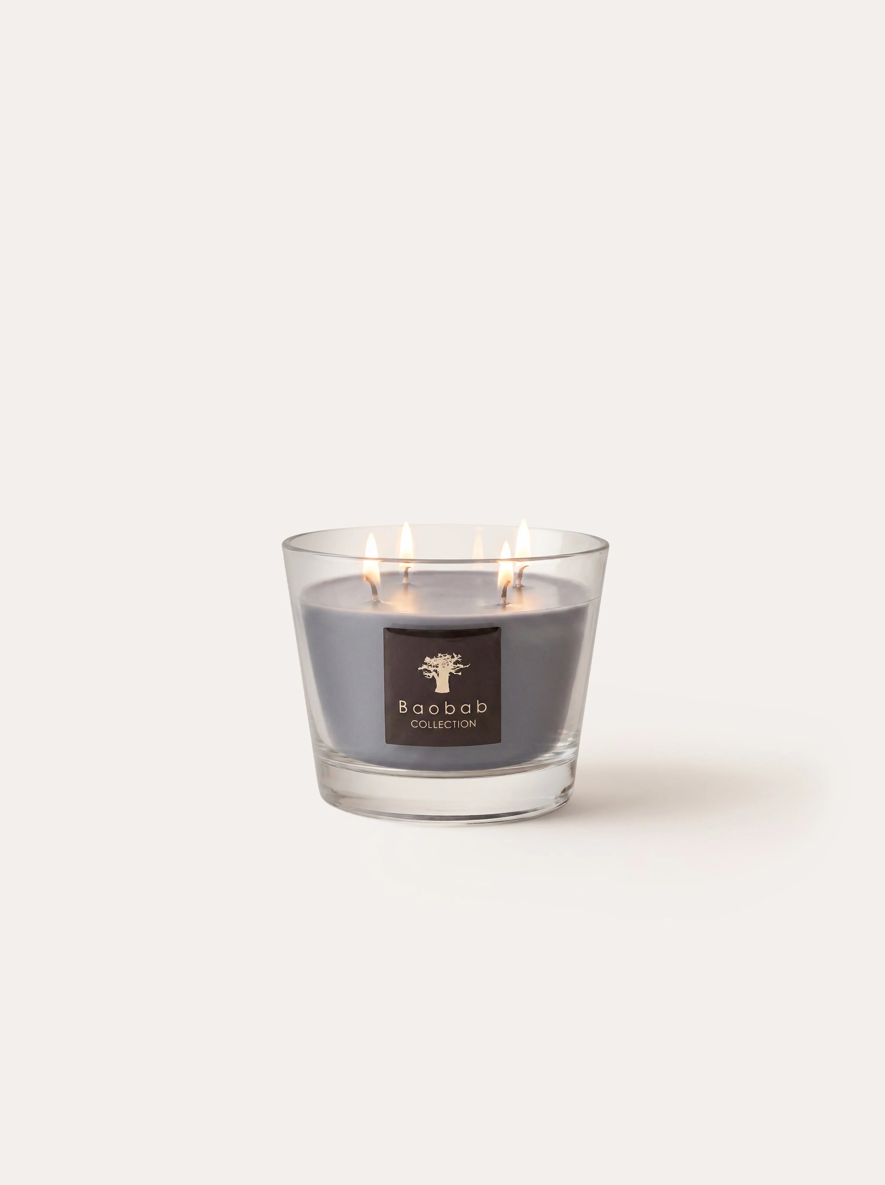 SCENTED CANDLE ALL SEASONS WHITE RHINO - Image 5
