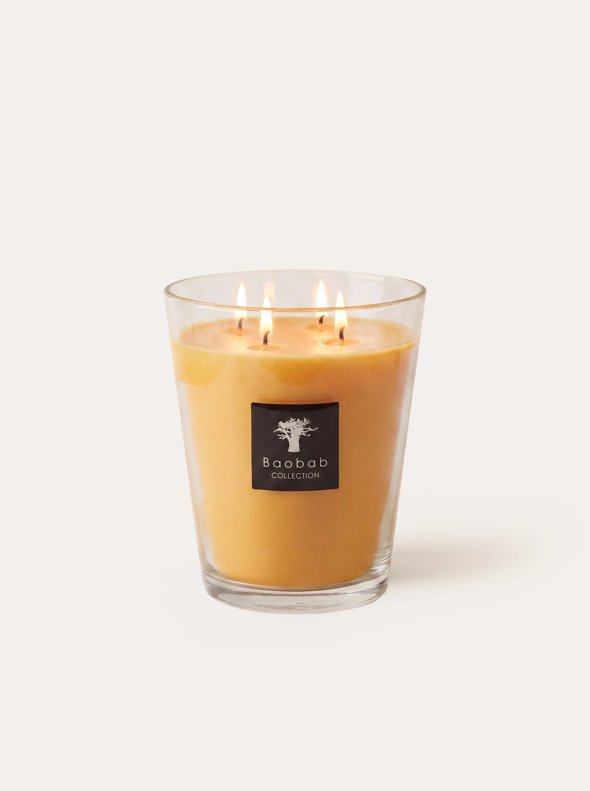 SCENTED CANDLE ALL SEASONS ZANZIBAR SPICES - Image 6