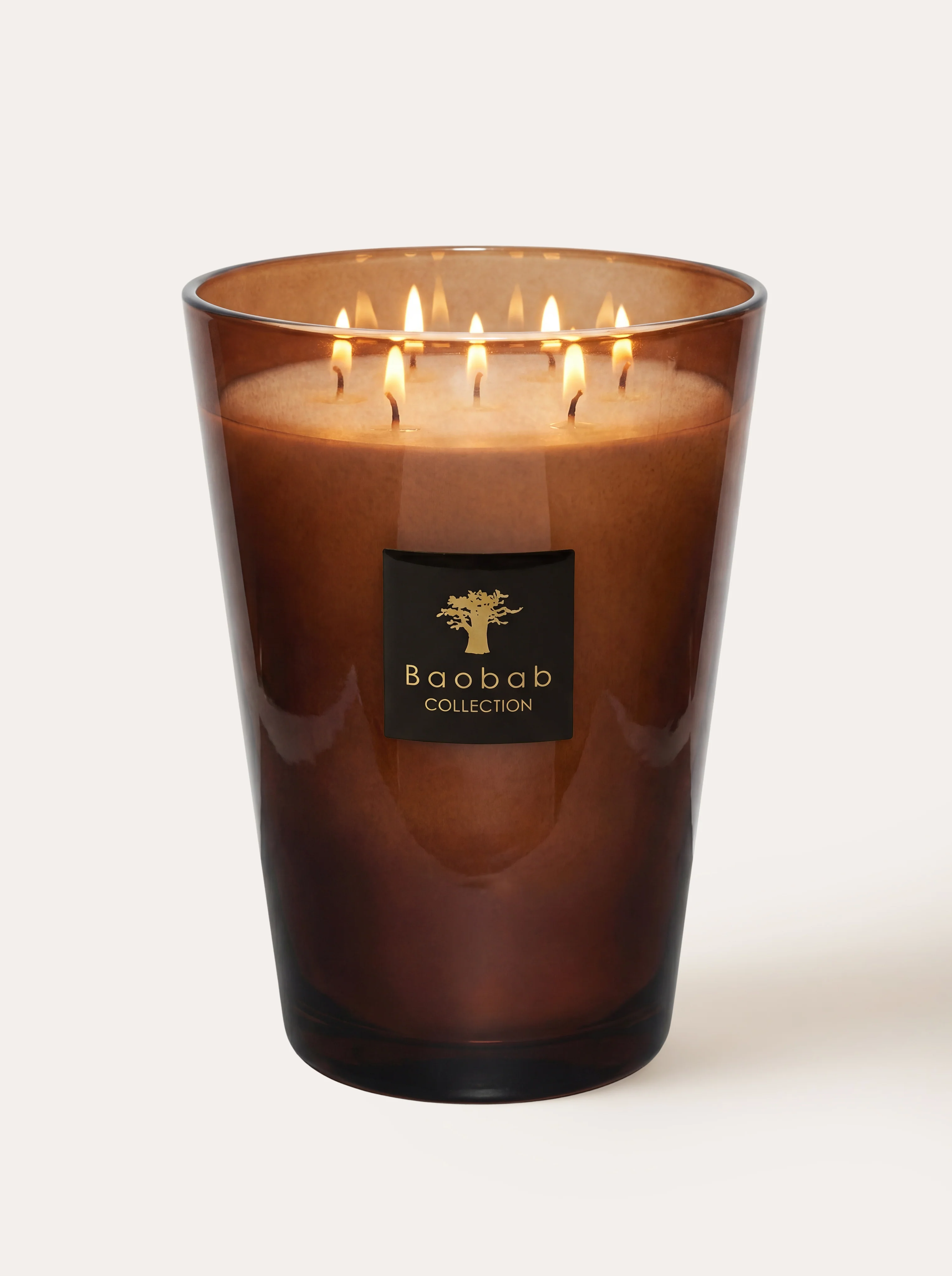 SCENTED CANDLE LES PRESTIGIEUSES CUIR DE RUSSIE - Image 6