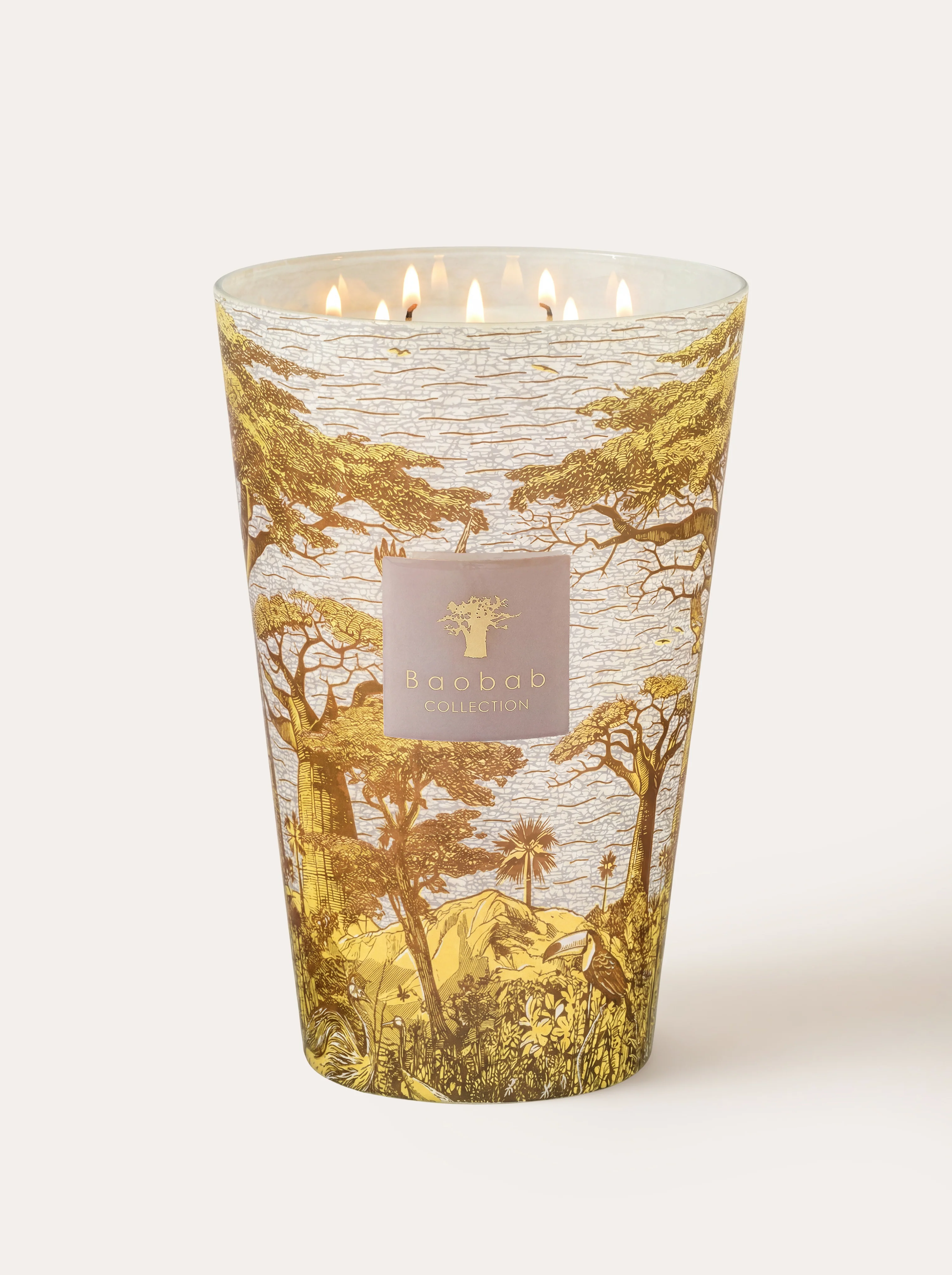 SCENTED CANDLE SACRED TREES BOUNKANI - Image 6